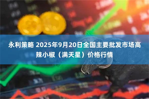 永利策略 2025年9月20日全国主要批发市场高辣小椒（满天星）价格行情