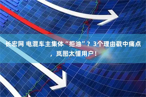 长宏网 电混车主集体“拒油”？3个理由戳中痛点，岚图太懂用户！