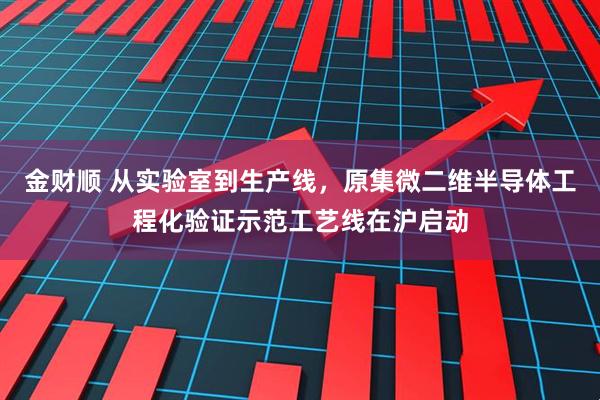 金财顺 从实验室到生产线，原集微二维半导体工程化验证示范工艺线在沪启动