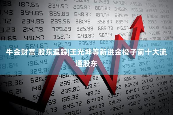 牛金财富 股东追踪|王光坤等新进金橙子前十大流通股东