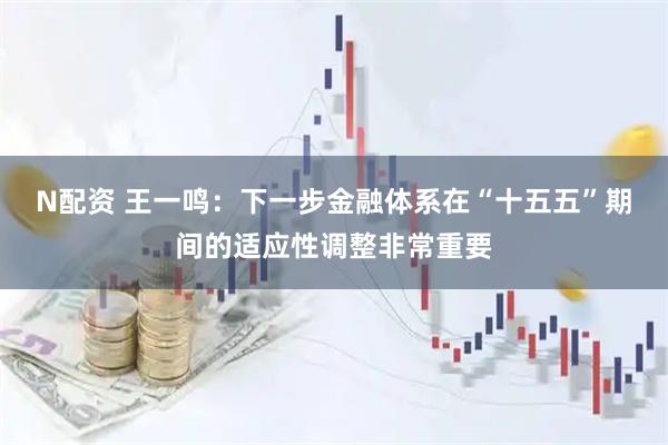 N配资 王一鸣：下一步金融体系在“十五五”期间的适应性调整非常重要