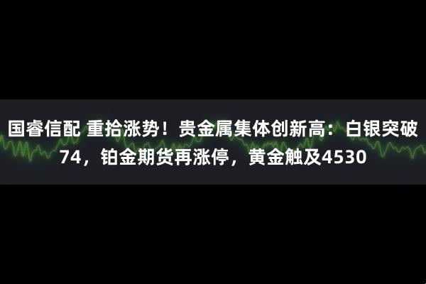 国睿信配 重拾涨势！贵金属集体创新高：白银突破74，铂金期货再涨停，黄金触及4530